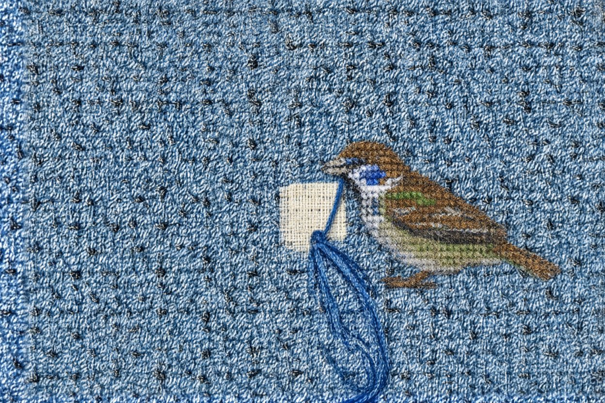 A sparrow takes the loose end in its beak.